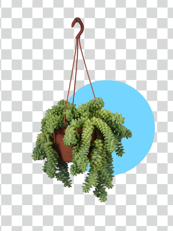 Background Removing — Background Remove 4