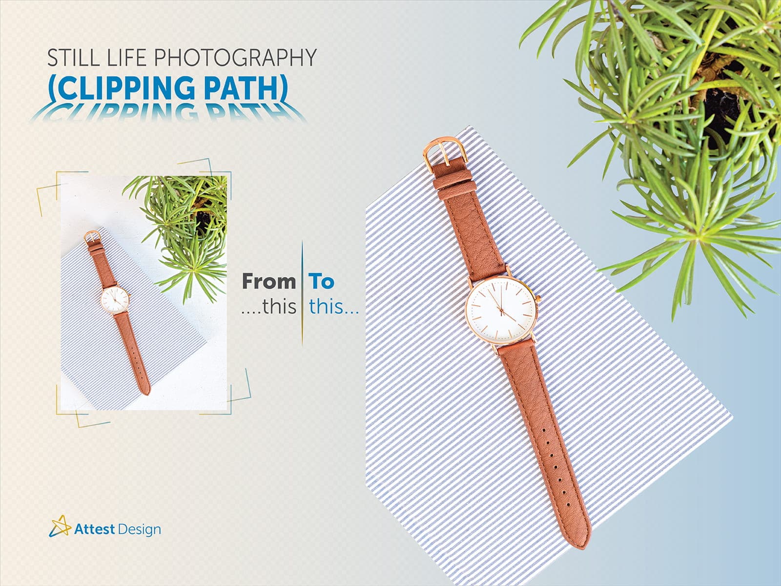 Still life photography clipping path service example showing precise object isolation and background removal
